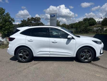 FORD Kuga 2.5 Duratec 180ch Hybrid FlexiFuel ST-Line Powershift à vendre à Dole - Image n°4
